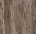 Hickory