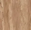 Juniper