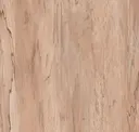 Nutmeg
