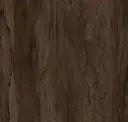 Spruce