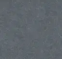 Cadet