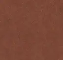Rust