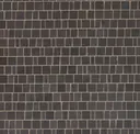Grey Foussana