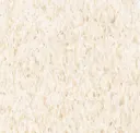 Fortress White