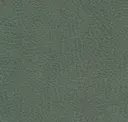 Herb