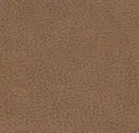 Pecan