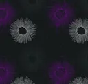 Violet - Dark
