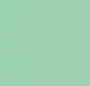 Gloss Mint