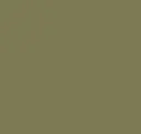 Gloss Olive