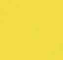 Matte Daffodil