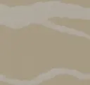 Safari