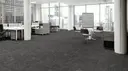 Zoomers