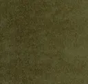 182251 Cactus