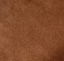 147713 Coppertone
