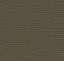 Beige Grey
