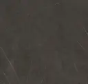 Dark