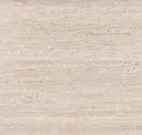 Bone