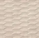 Bone