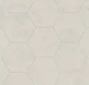 Bone