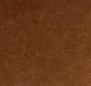 Ale