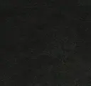 Elite