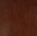 Sierra Redwood
