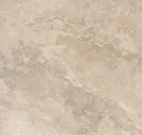 Nut
