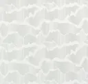 White Cap