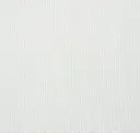 Iceberg