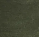 Moss