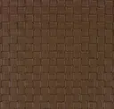 Nutmeg