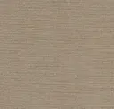 Warm Sand