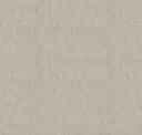 Papyrus 26