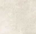 Bone