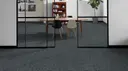 Iron
