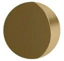 Satin Brass