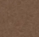 Cocoa