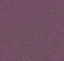 Aubergine