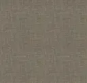 Iron