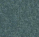 Spruce