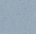 Ice Blue