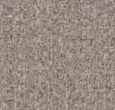 Grain