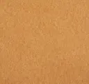 Cinnamon