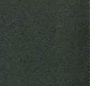 Petrol