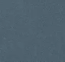 Jitney