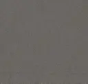 Iron