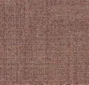 Lady Slipper
