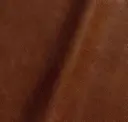 Cocoa