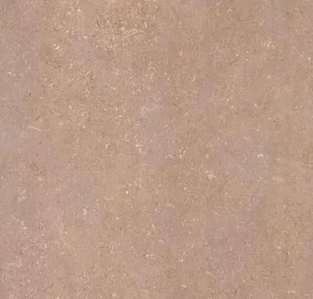 Main