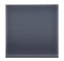 Midnight Blue